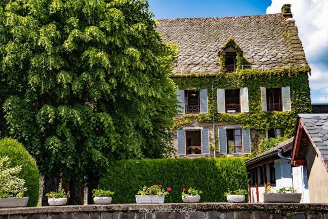 Les Tilleuls Besse-et-Saint-Anastaise Dış mekan fotoğraf